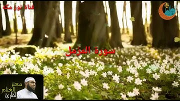 سورة المزمل القارئ معتز الغنام