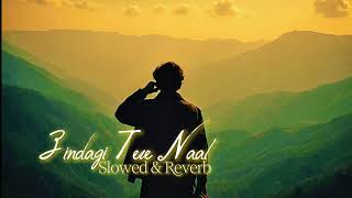 Zindagi Tere Naal Song - Slowed & Reverb