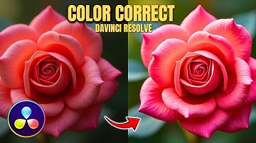 How To Color Correct Automatically In Davinci Resolve For Beginners