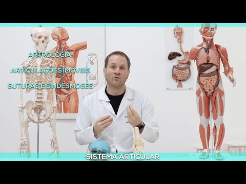 Artrologia: Articulações imóveis