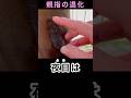 親指の退化 #なみあし会 #動物 #馬 #horse
