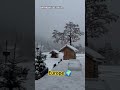 সেই লাগছে দেখতে_Snow fall_ in Europe