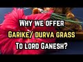 Why do we offer garike/ durva grass to Lord Ganesh? | Lord Ganesh | Durva grass | Hamsa Vasishta