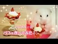 ハムスターにパフェ作ってみた！！Tiny Parfait For Hamster!!