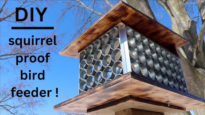 Squirrel-Proof Cedar Bird Feeder Woodworking Plan – Garden Gate