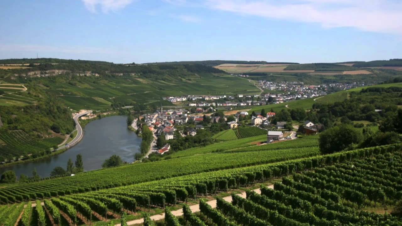 Loosst mer nach e Pättchen drénken - Miseler Léider