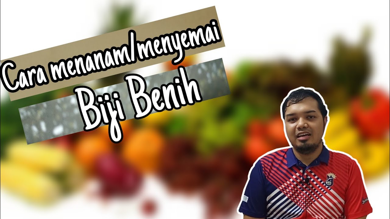 Cara Penanaman Biji Benih 