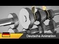 Schaltgetriebe / Fahrzeuggetriebe - Funktion und Aufbau (Animation)