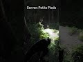 Watch Your Steps The Isle Evrima T REX MAN EATER Strikes Again 