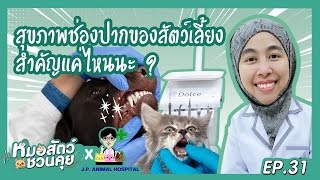 สุขภาพช่องปากสัตว์เลี้ยงสำคัญแค่ไหน | หมอสัตว์ชวนคุย EP31 Feat  โรงพยาบาลสัตว์จตุรวิทย์ by OSDCO Official 42 views 8 months ago 5 minutes, 56 seconds