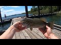 Fishing the Pend Oreille River for early summer SMALLMOUTH BASS!