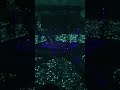 [FANCAM] 180726 SHINee -Sunny Side (SHINee Special Fan Event)