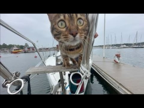 ⁣Jakso 25 - Kalastajatilan saari ja Sylvia-myrskyltä suojassa Arkösundissa