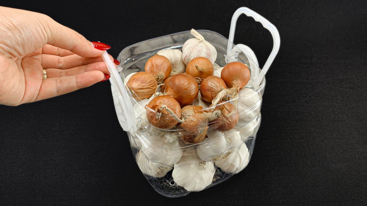 10 полезных лайфхаков с пластиковыми бутылками, которые должен знать каждый