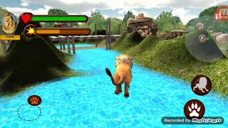 Ultimate Lion Vs TIger - Wild Jungle Adventure #Android screenshot 5