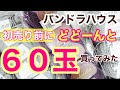 [激安！！パンドラ１玉５０円毛糸]　お正月恒例♪100均を超えた！