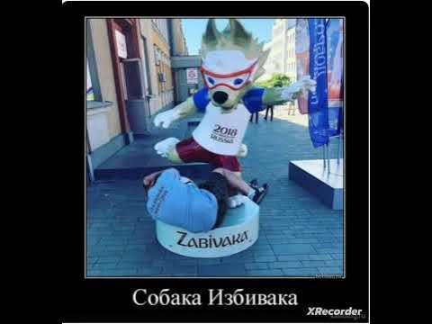 мем про собаку - YouTube
