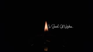Quest Life Live Stream