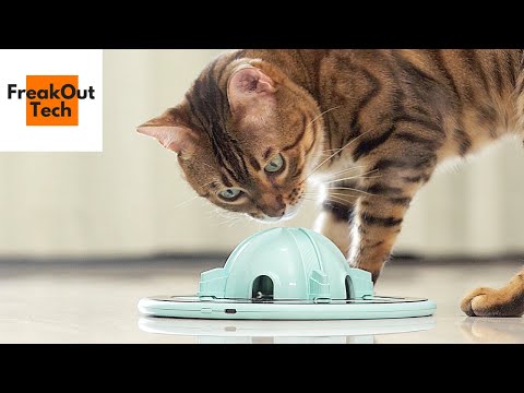 Top 5 Best Gadgets for Cats You Would Love to Exist