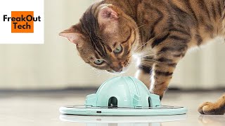 Top 5 Best Gadgets for Cats You Would Love to Exist