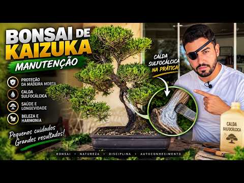 KAIZUKA BONSAI 🌲 How to Protect Deadwood with Lime Sulfur