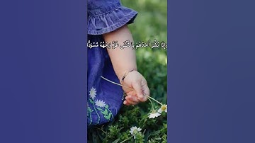 تلاوة خاشعة للقارئ عبد الرحمن مسعد @9li9 #قرآن #تلاوة_خاشعة #سورة_النحل
