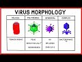 Going Viral: Viruses, Replication and COVID-19