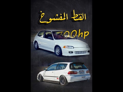 القط المفشوخ 700
