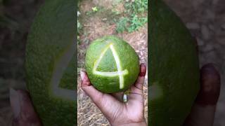 DIY Fruit Carving for Beginners | Number 4 Tutorial