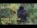 UN TRUCO DE SUPERVIVENCIA QUE PUEDE SALVAR TU VIDA - ''Refugio'' de Supervivencia