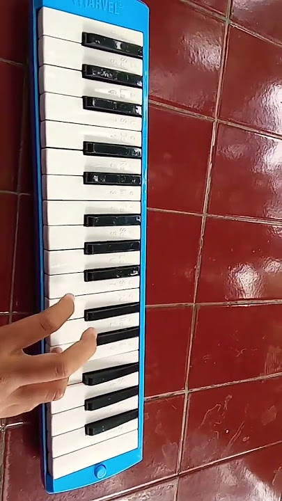 Basuri sholawat kids panda