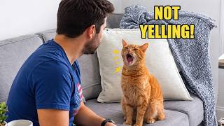 When Your Cat Finally Starts Talking Back! (I’m Shook) 😹🐾