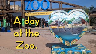 Day at the KC Zoo l Zoo with Friends l VLOG
