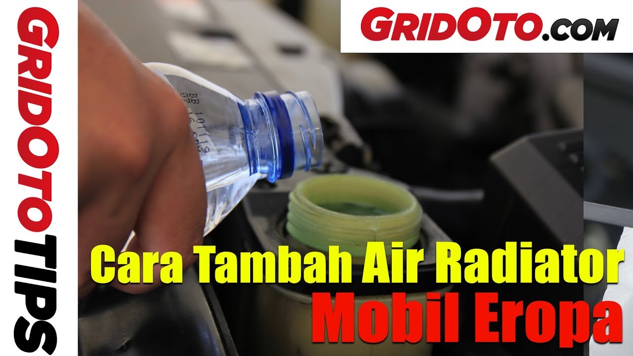 Cara Tambah Air Radiator Mobil Eropa | How To | GridOto Tips how to get rid of fleas