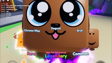 Hatching dogcat on camera in mining simulator 2