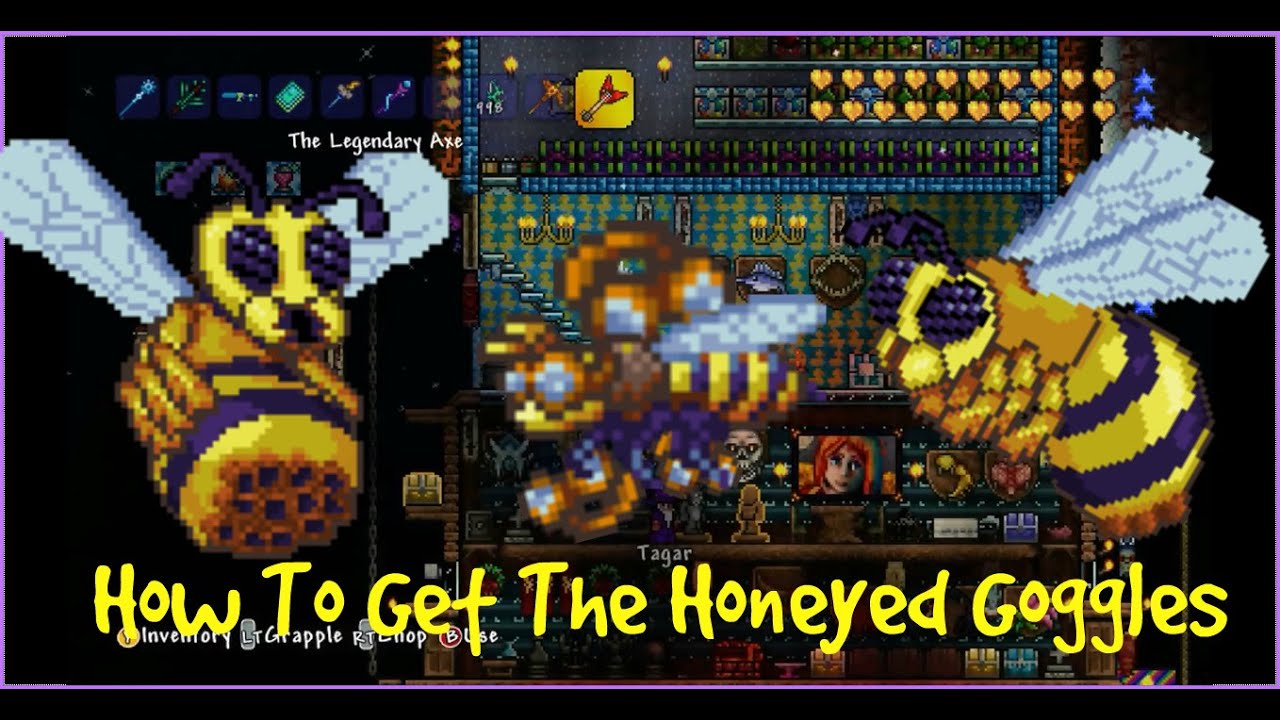 Terraria Xbox/Playstation | How To Get The Honeyed Goggles Bee - YouTube
