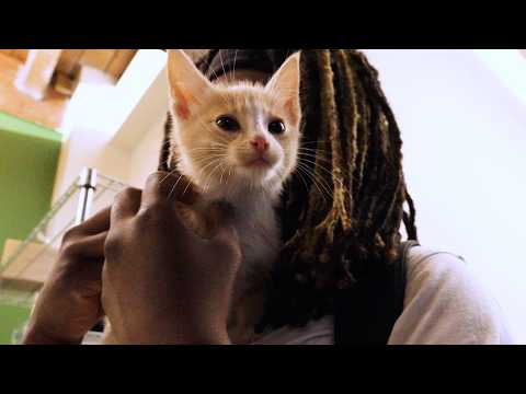 CityStream: Local clinic cares for both people and pets