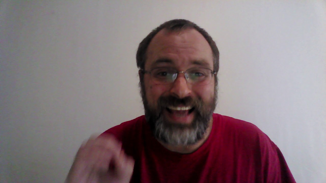 What is Opportunism in the Marxism Leninist use of the word