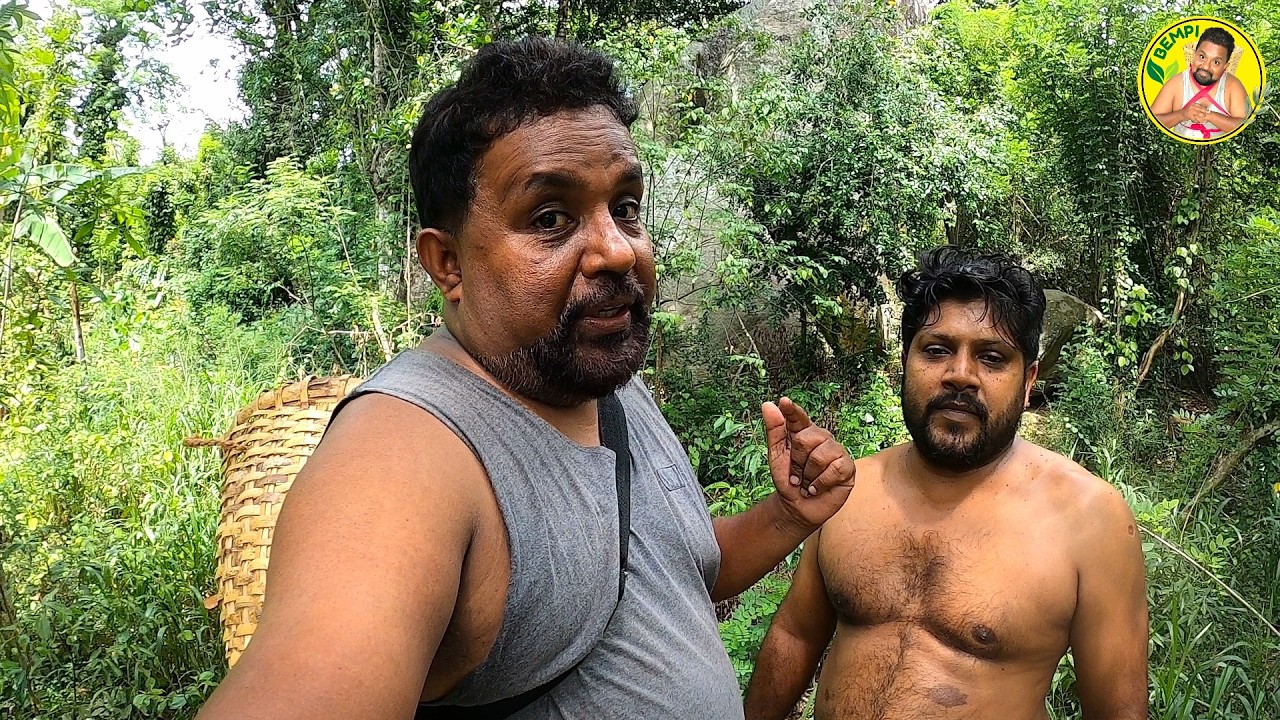 යෝධයා සිටි ගල උඩ කොස් ඇට රොටි හැදුවා  | traditional village kos ata roti recipe | Bempi