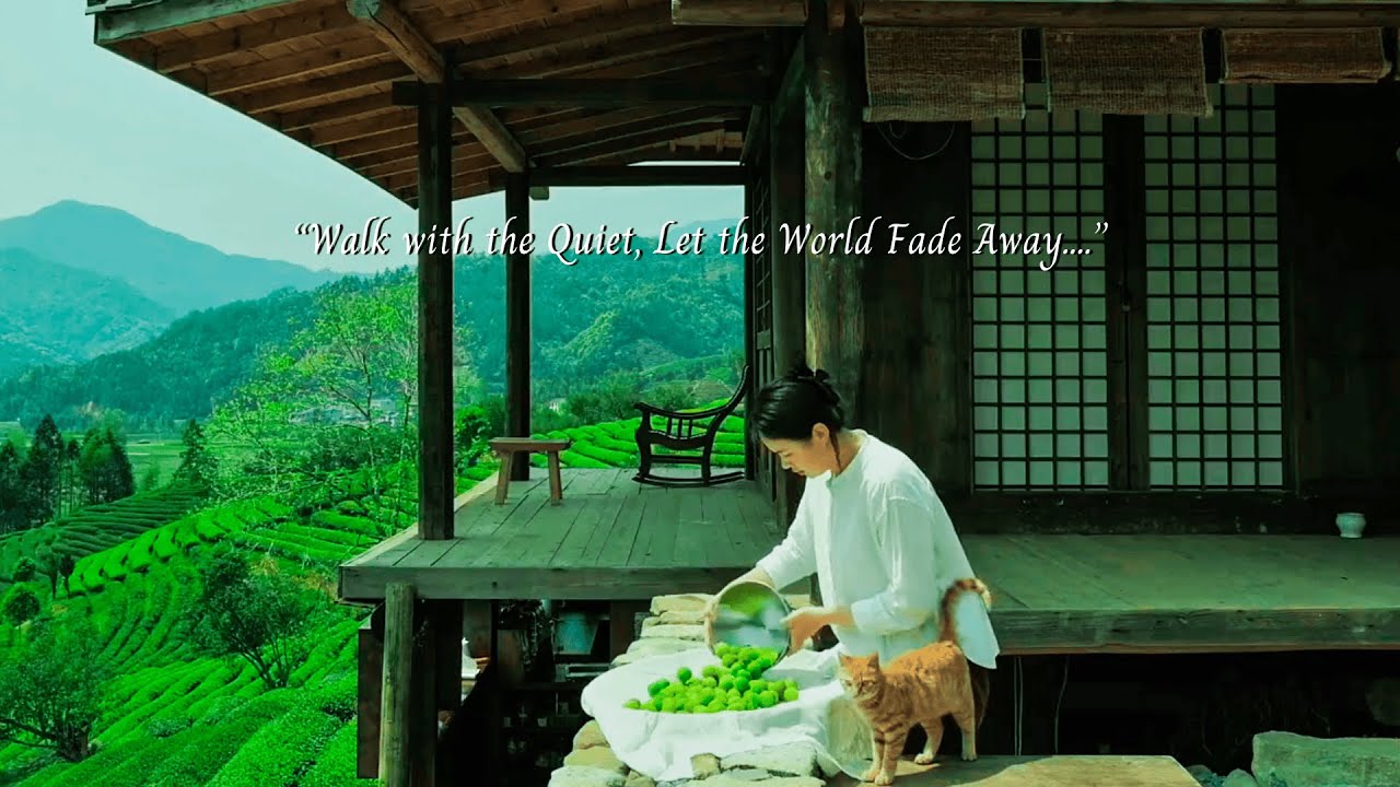 Walk with the Quiet, Let the World Fade Away.../a playlist for quiet hours/