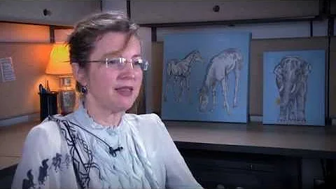 OIT Faculty Spotlight: Dr.  Elizabeth Strand - Vet...