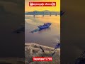 бЂ бЂќбЂ бЂ бЂёбЂђбЂ бЂђбЂ бЂёбЂџбЂ бЂ бЂјбЂ бЂєбЂ бЂ бЂ бЂЎбЂњбЂѕбЂ бЂЇбЂ бЂёбЂђбЂ бЂђбЂ бЂё Youtubeshorts Shortvideo Shorts Short Love Song Music News New Art бЂ бЂќбЂ бЂ бЂёбЂђбЂ бЂђбЂ бЂёбЂџбЂ бЂ бЂјбЂ бЂєбЂ бЂ бЂ бЂЎбЂњбЂѕбЂ бЂЇбЂ бЂёбЂђбЂ бЂђбЂ бЂё Youtubeshorts Shortvideo Shorts Short Love Song Music News New Art