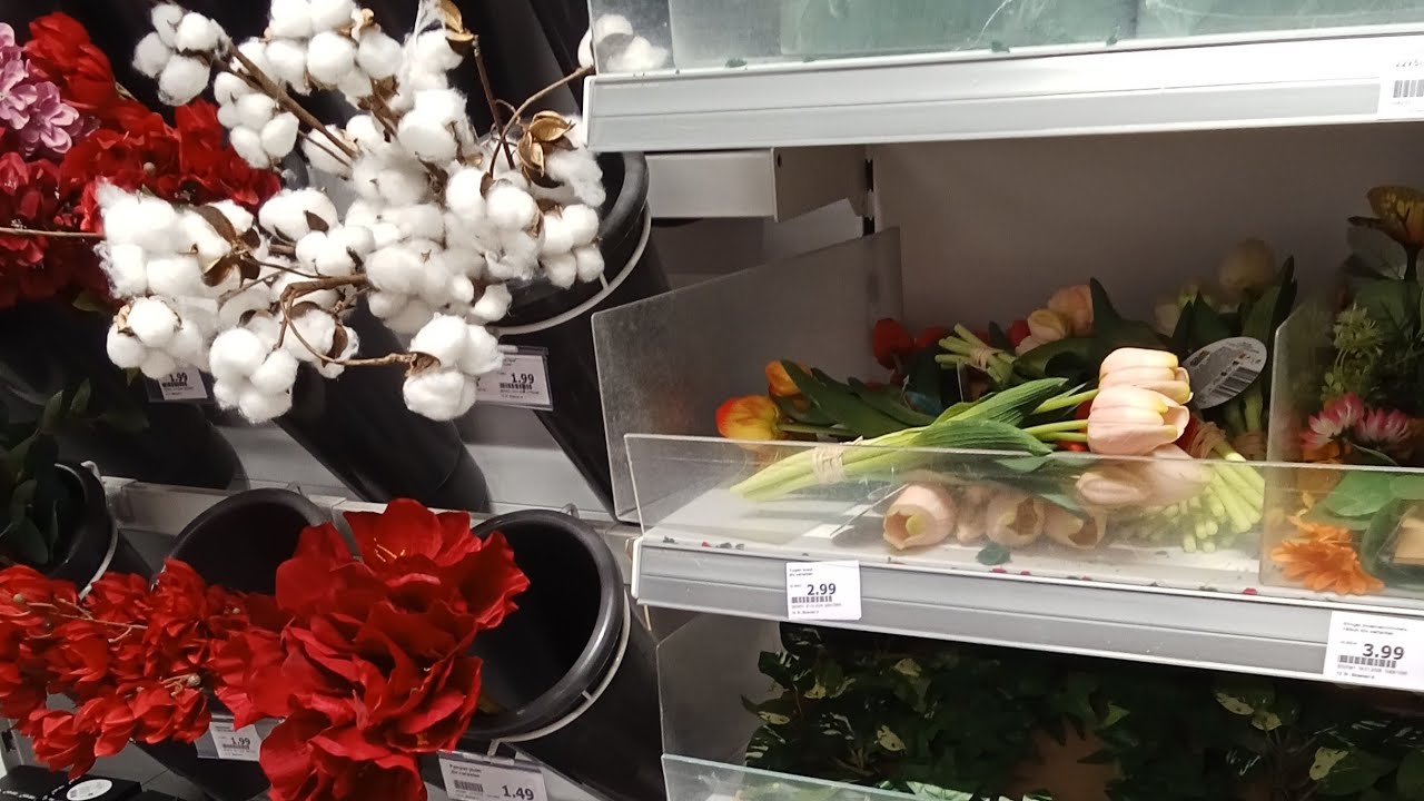 colorful decoratie plant & flowers