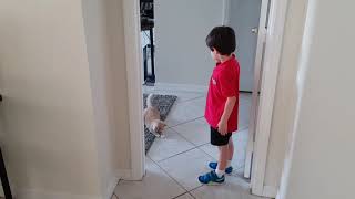 [2] Pancake meets Sebastian (Who just learned about laser pointers)