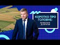 Коротко про головне: Земельні ділянки