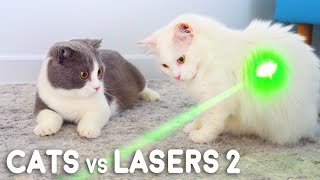 Cats vs Lasers 2