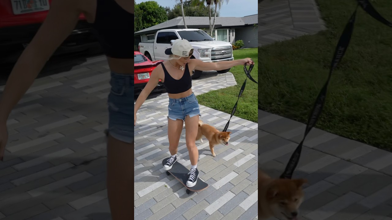Training my sled dog🤗🐕🛹...#skateboard #skate #sk #skateboarding #skatelife #skateboardingisfun