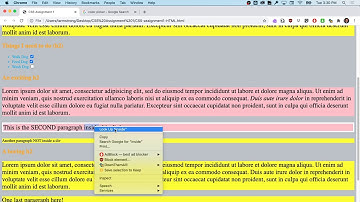 7 CSS Selector Exercise – Assignment 1 Solution