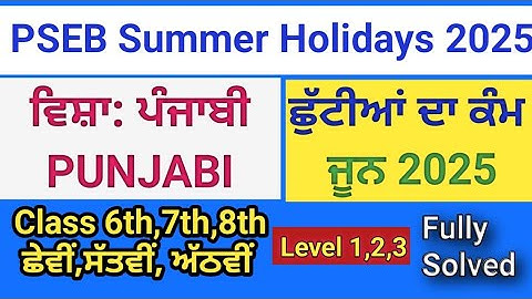 PSEB 6th, 7th, 8th Class Mission samrath Punjabi Holiday Homework Level 3 fully solved #pseb