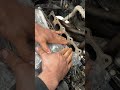 Pro Mechanical Work🔥💸#viral #shorts #carhacks